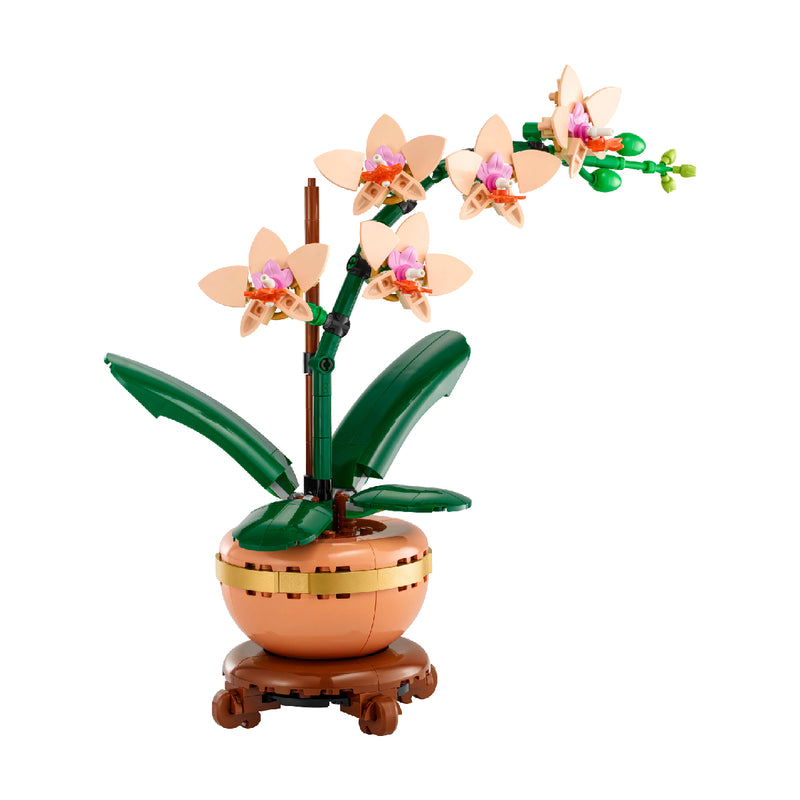 Đồ Chơi Lắp Ráp Hoa Lan Nhỏ LEGO BOTANICALS 10343 (274 chi tiết) - ảnh 3