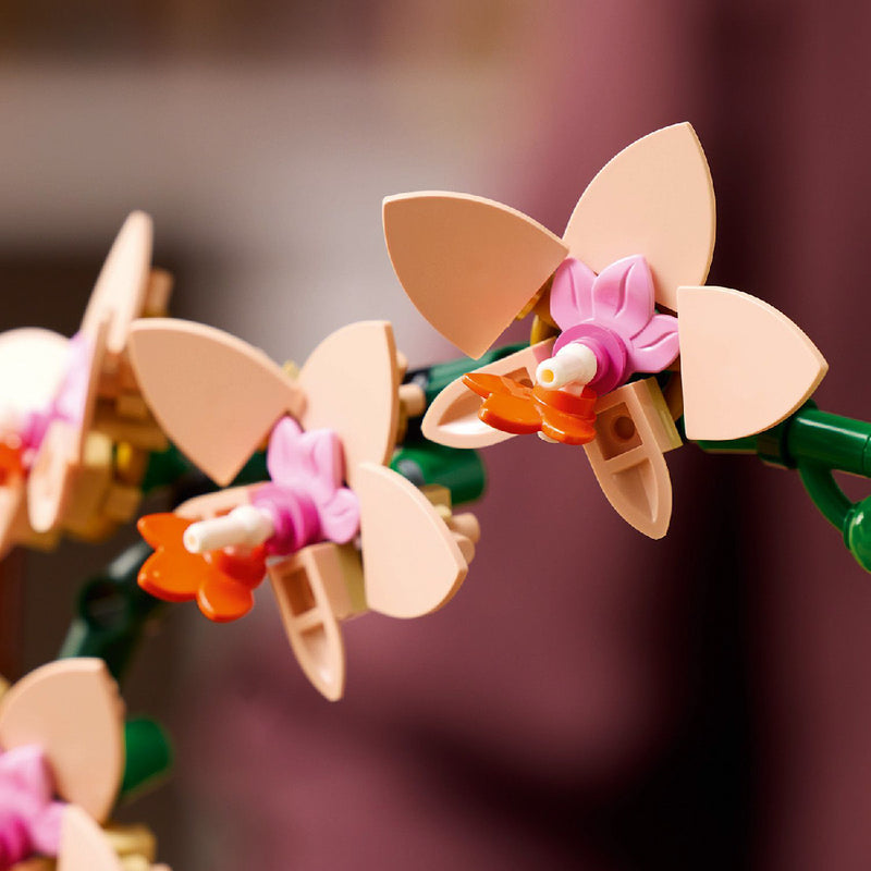 Đồ Chơi Lắp Ráp Hoa Lan Nhỏ LEGO BOTANICALS 10343 (274 chi tiết) - ảnh 6