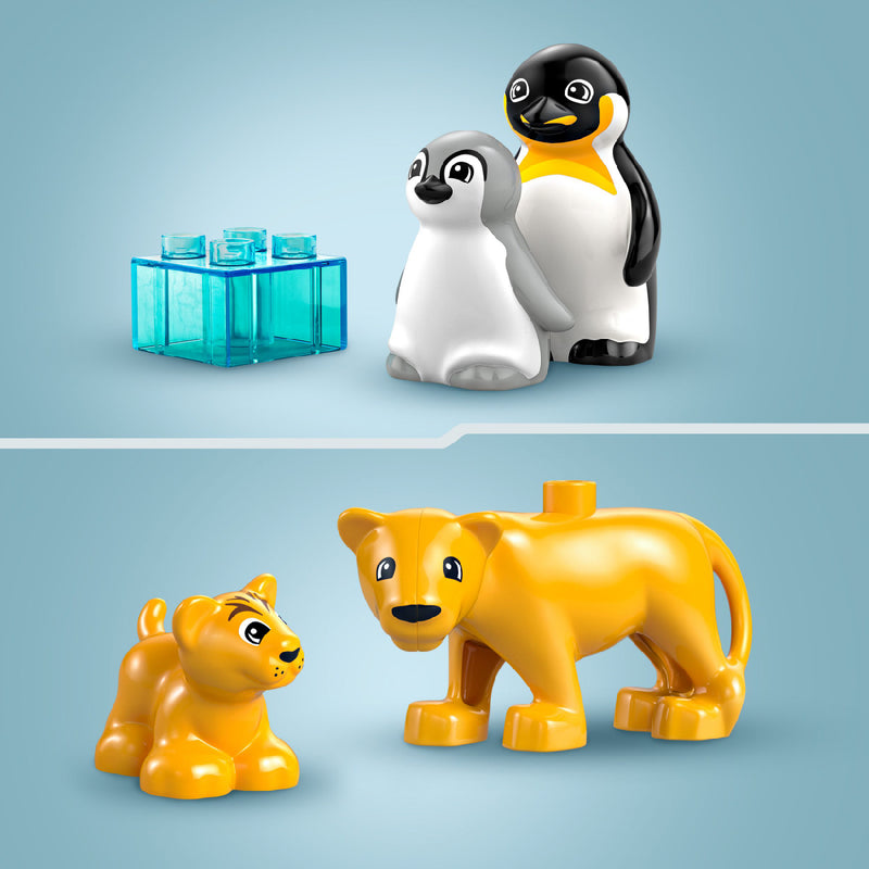 Đồ Chơi Lắp Ráp Gia Đình Động Vật Hoang Dã: Chim Cánh Cụt Và Sư Tử LEGO DUPLO 10442 (10 chi tiết) - ảnh 4