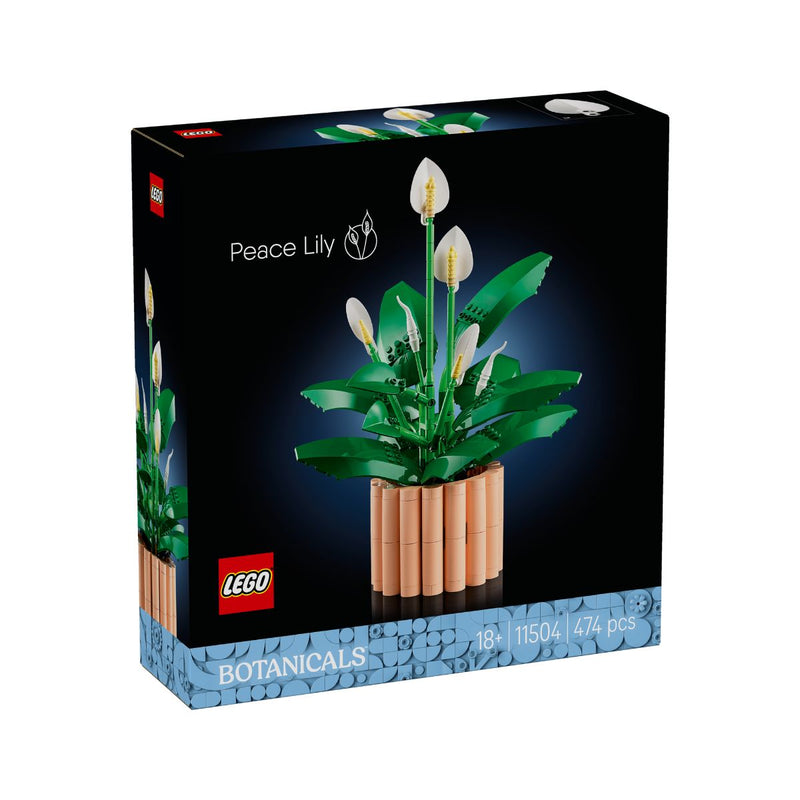 Đồ Chơi Lắp Ráp Hoa Lan Ý LEGO BOTANICALS 11504 (474 Chi Tiết) - ảnh 2