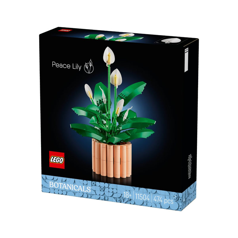 Đồ Chơi Lắp Ráp Hoa Lan Ý LEGO BOTANICALS 11504 (474 Chi Tiết) - ảnh 3