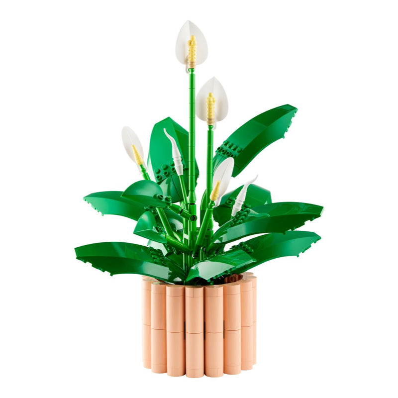 Đồ Chơi Lắp Ráp Hoa Lan Ý LEGO BOTANICALS 11504 (474 Chi Tiết) - ảnh 4