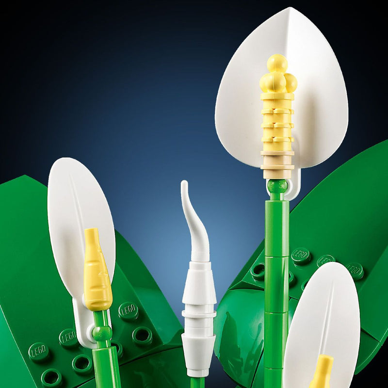 Đồ Chơi Lắp Ráp Hoa Lan Ý LEGO BOTANICALS 11504 (474 Chi Tiết) - ảnh 5