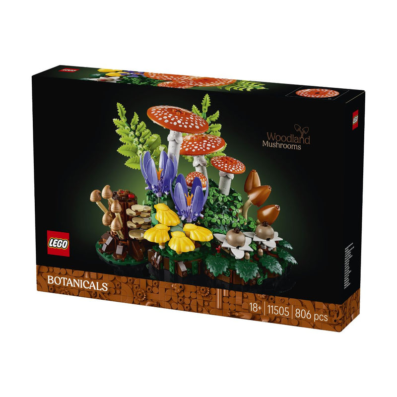 Đồ Chơi Lắp Ráp Nấm Rừng Xinh Xắn LEGO BOTANICALS 11505 (806 chi tiết) - ảnh 4